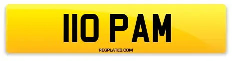 110 PAM
