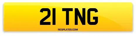 21 TNG