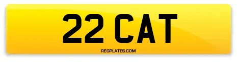 22 CAT