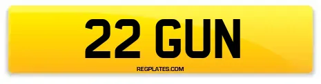 22 GUN
