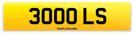 3000 LS