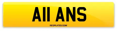 A11 ANS