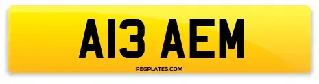 A13 AEM