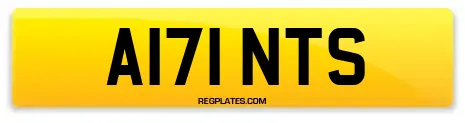 A171 NTS