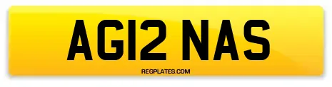 AG12 NAS
