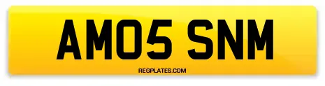 AM05 SNM