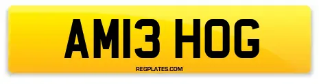 AM13 HOG