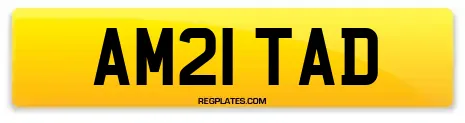 AM21 TAD