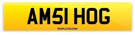 AM51 HOG