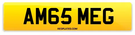 AM65 MEG