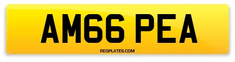 AM66 PEA