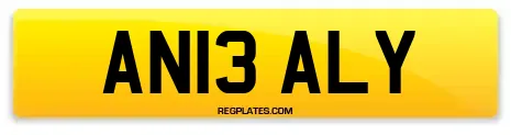 AN13 ALY
