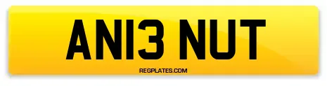 AN13 NUT