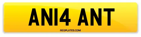 AN14 ANT