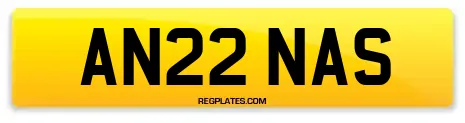 AN22 NAS