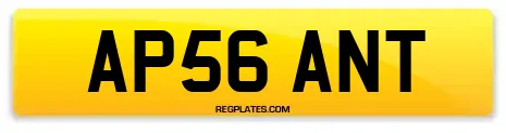 AP56 ANT