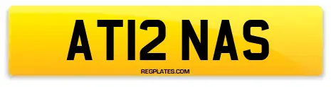AT12 NAS