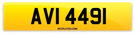 AVI 4491
