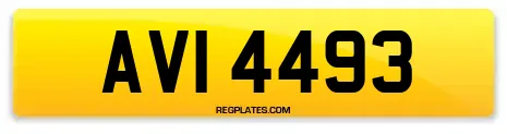 AVI 4493