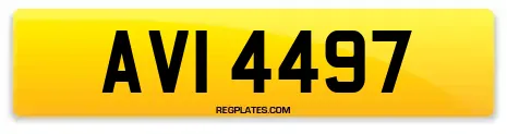 AVI 4497