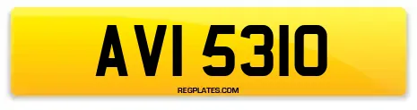 AVI 5310
