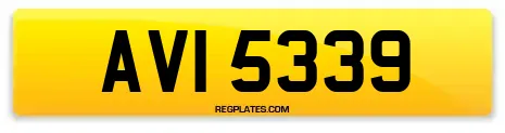 AVI 5339