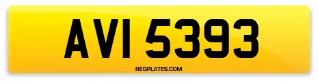 AVI 5393