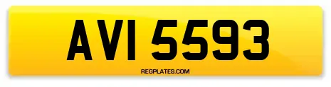 AVI 5593