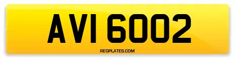 AVI 6002