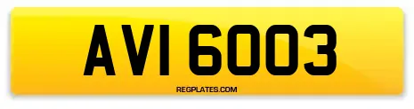 AVI 6003