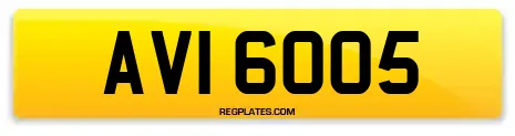 AVI 6005