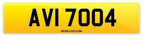 AVI 7004