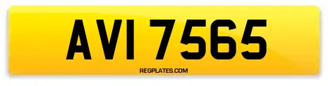 AVI 7565