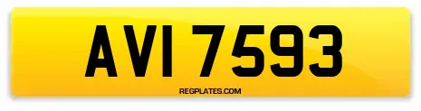 AVI 7593