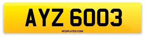 AYZ 6003