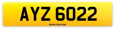 AYZ 6022