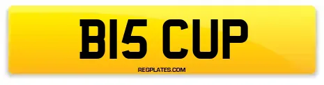 B15 CUP
