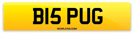 B15 PUG