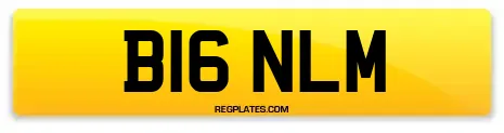 B16 NLM