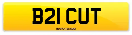 B21 CUT