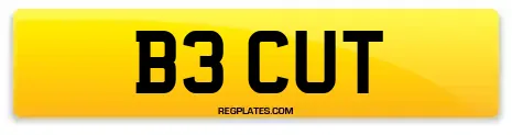 B3 CUT
