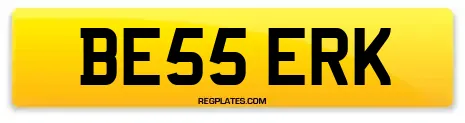 BE55 ERK