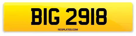 BIG 2918
