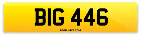 BIG 446