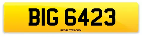 BIG 6423