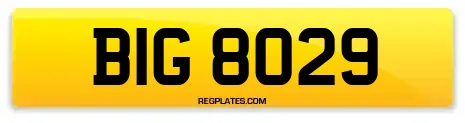 BIG 8029