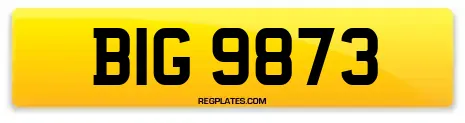 BIG 9873