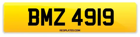 BMZ 4919
