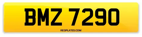 BMZ 7290