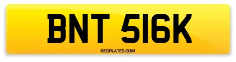 BNT 516K